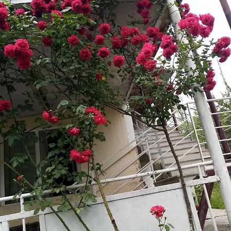 Hotel Mti House Kvesheti Exterior foto